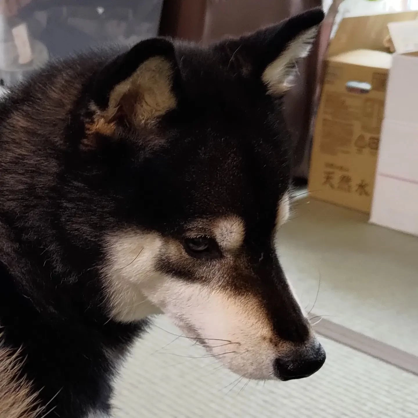 振り向き美男…