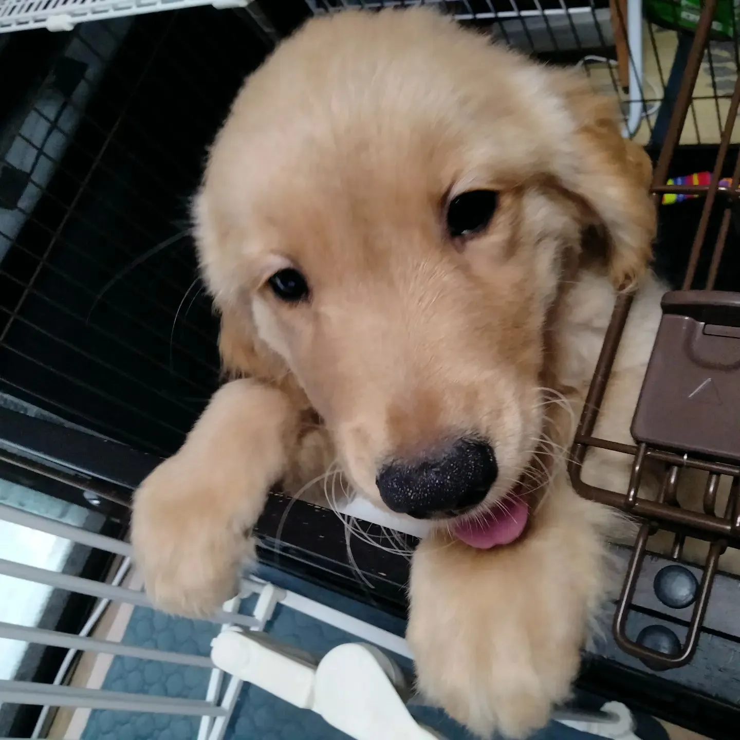 2回目のお預かり！