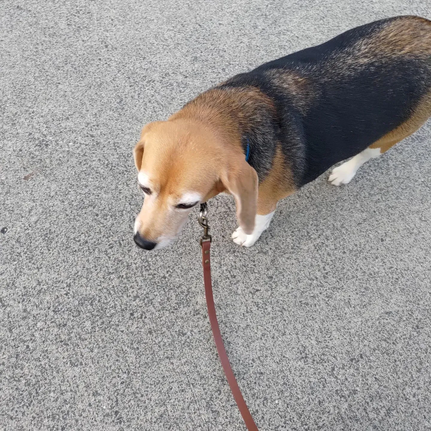 今日はものすごい距離を移動…