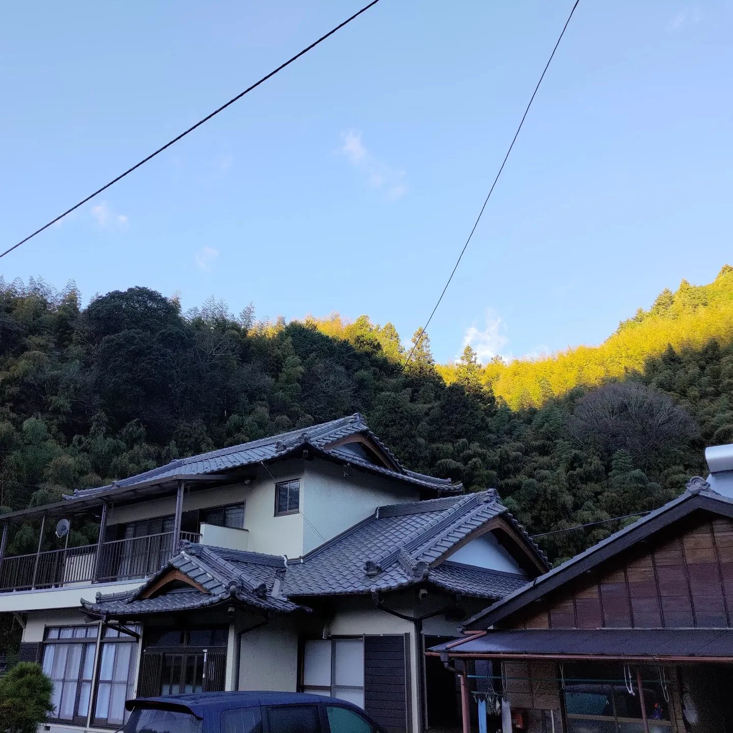 おはようございます！