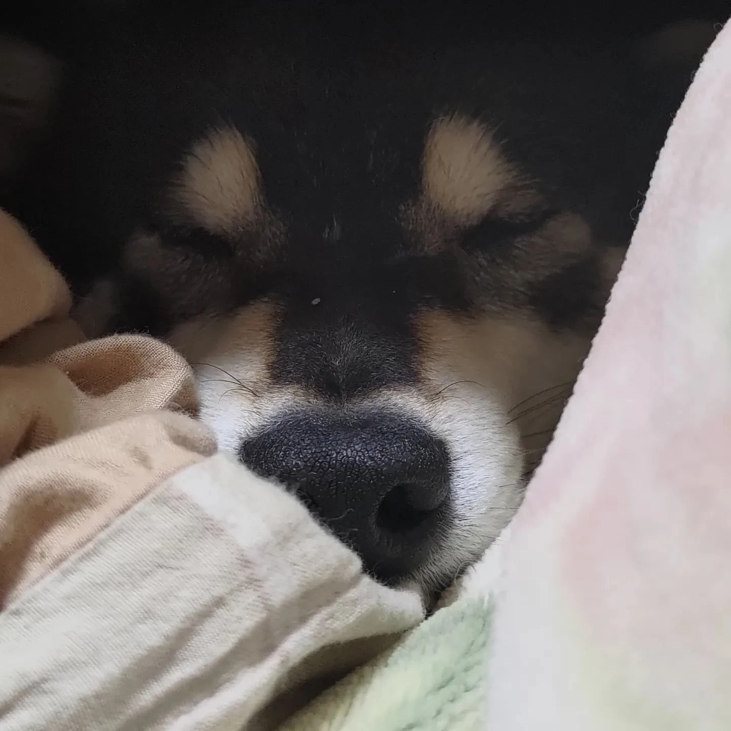 そのまま眠りに落ちましたw