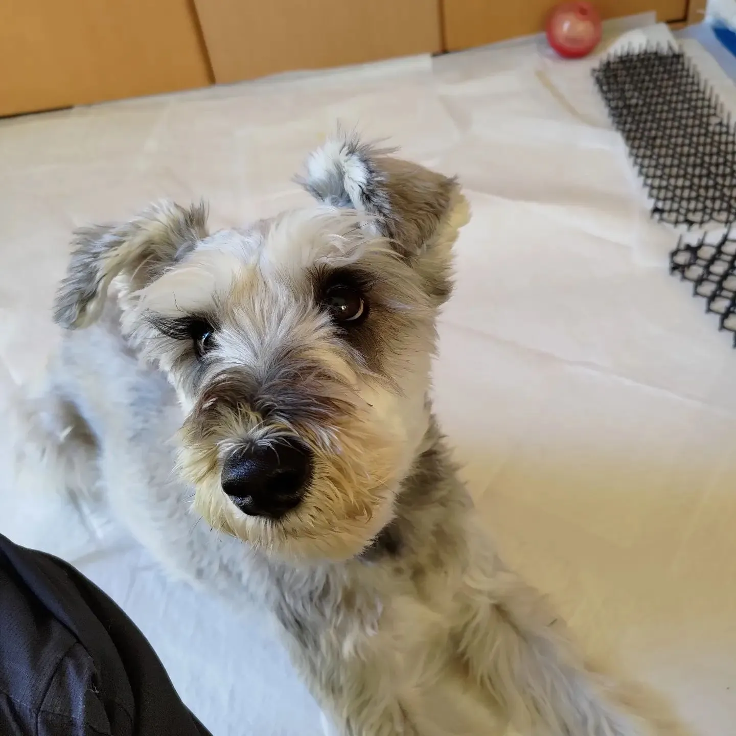 今日は東京都あきる野市までトー...