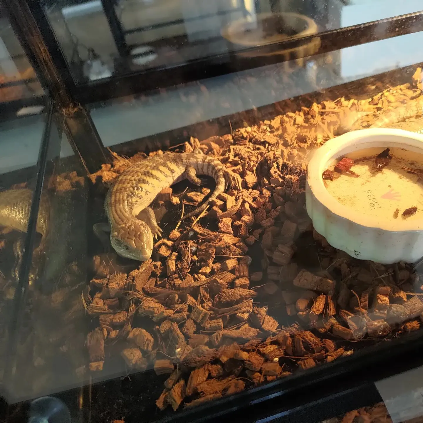 年末年始は大忙し！