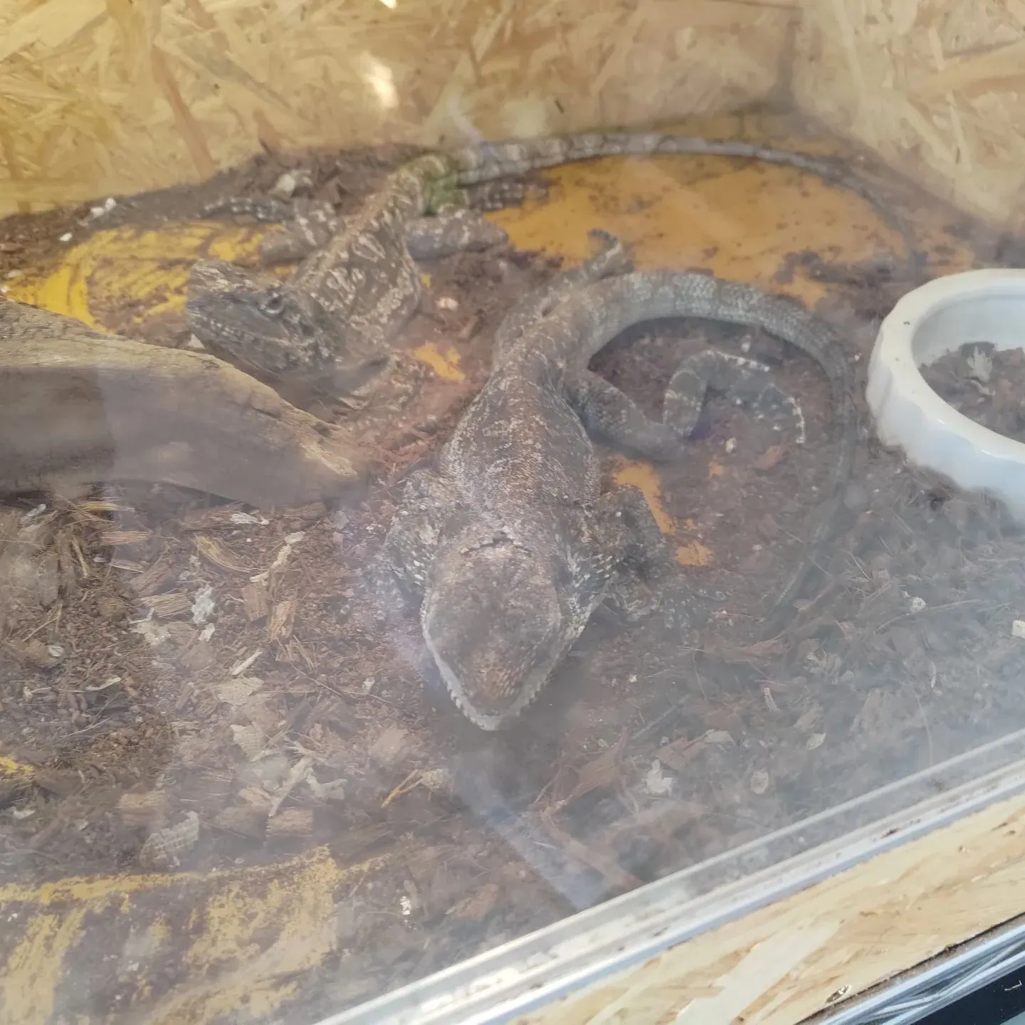 今日は忙しい一日でした…