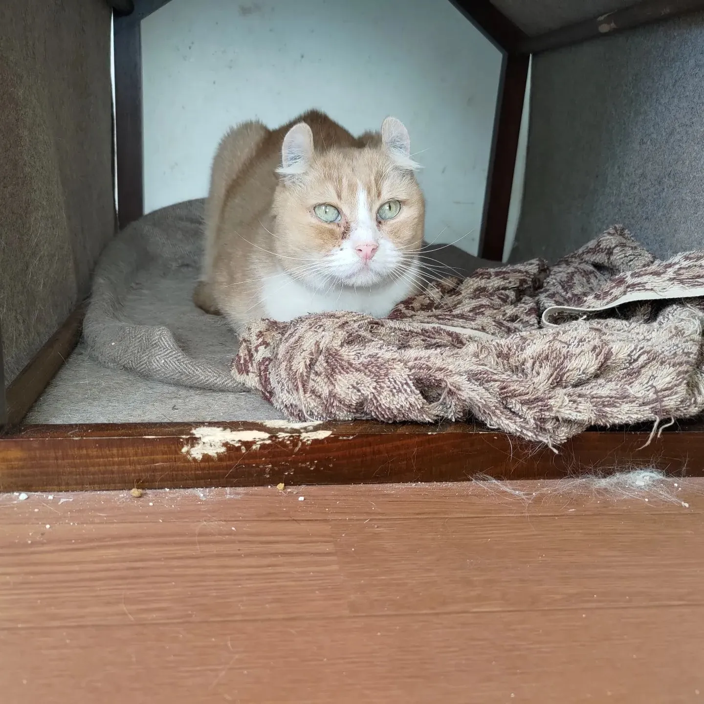 おそらく一番忙しかった今日…