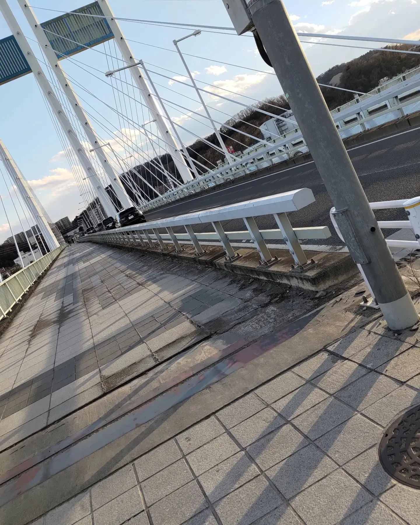 今日も東京都は府中市よりビーく...