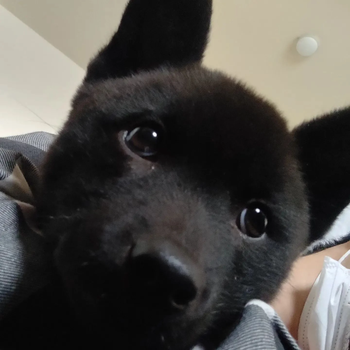 美郷ちゃんのアカウント作りまし...