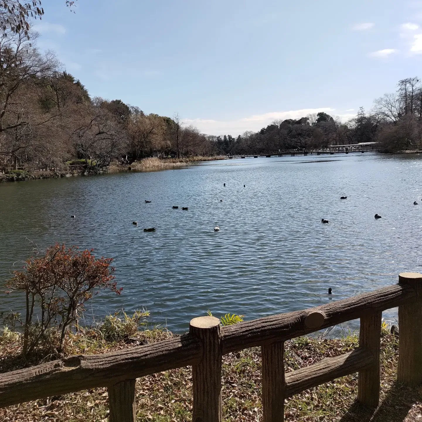 ギリギリセーフっな今日のお写真。