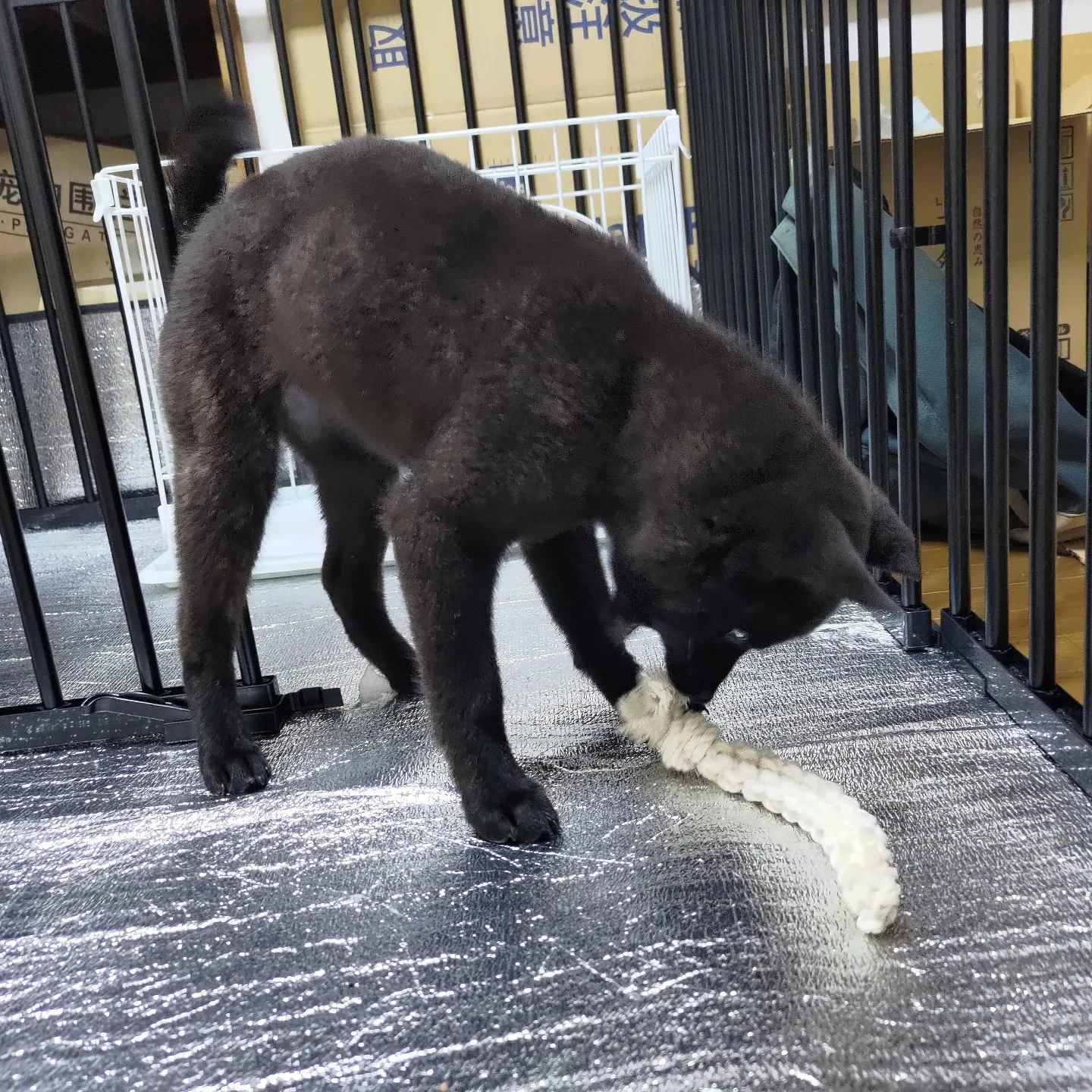 美郷ちゃん6日目。