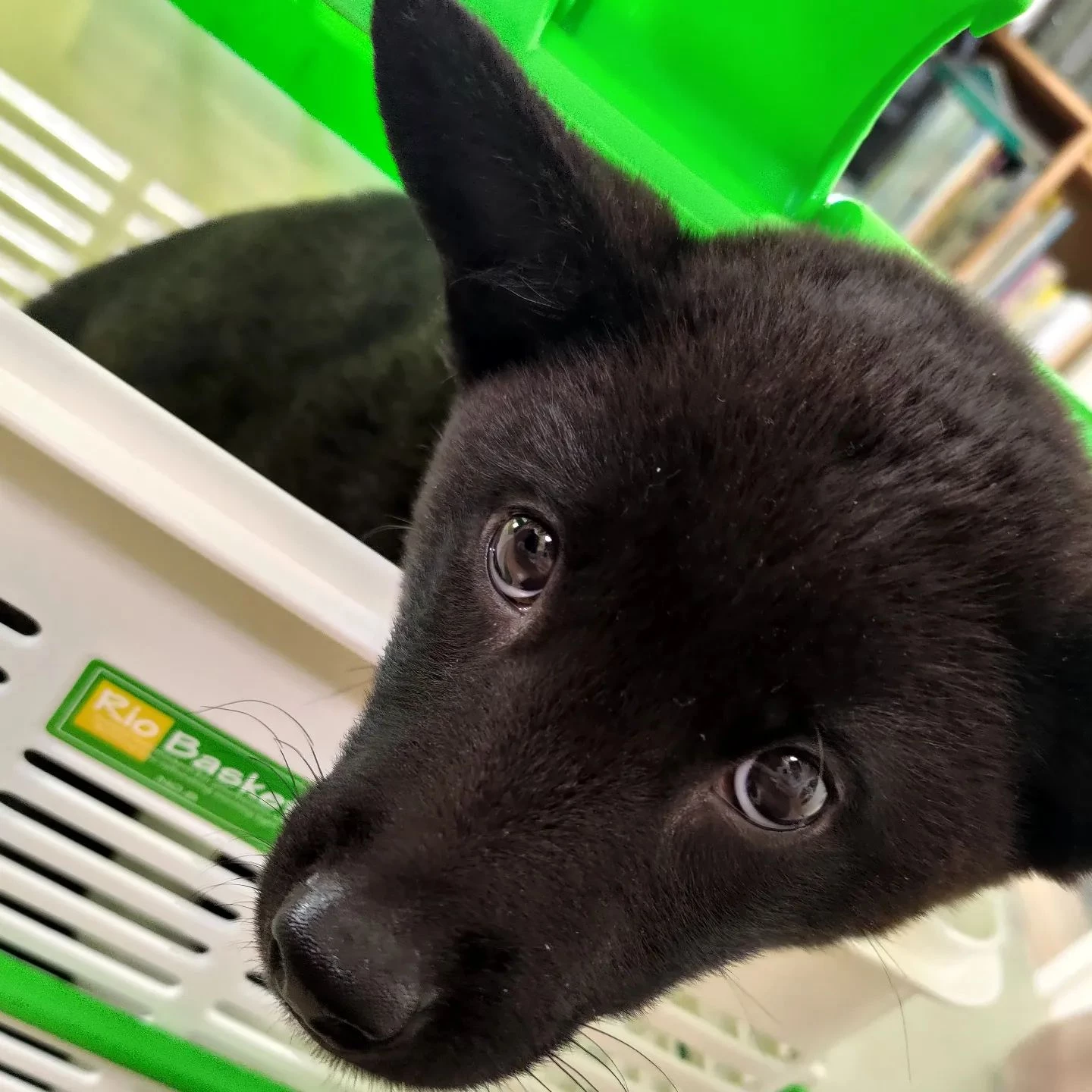 鹿児島から遊びに来てくれたとき...