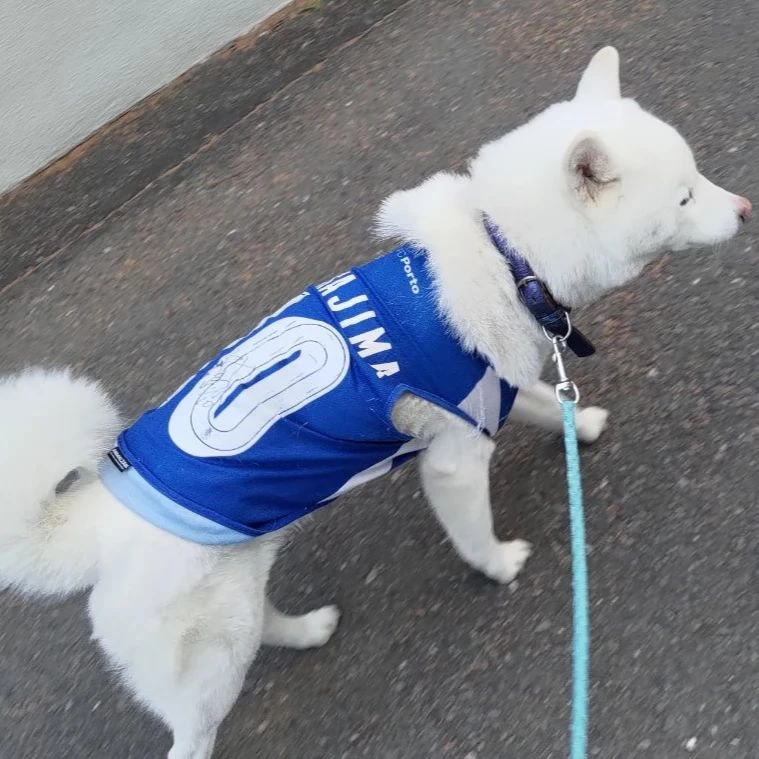 今日は朝からお散歩です。