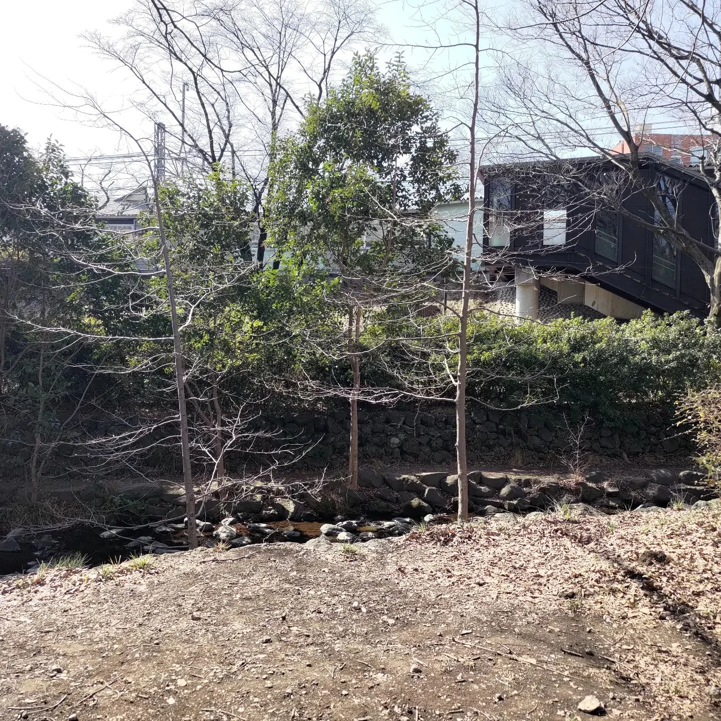 今日も天気がいいですね。