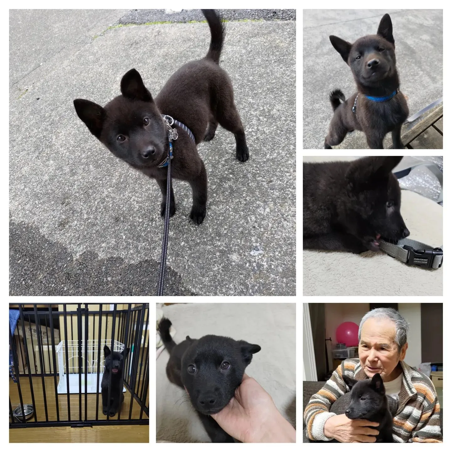 毎日毎日写真撮ってます。