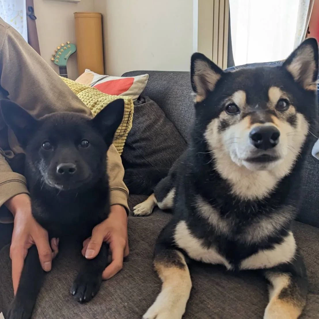 ベストショット☆