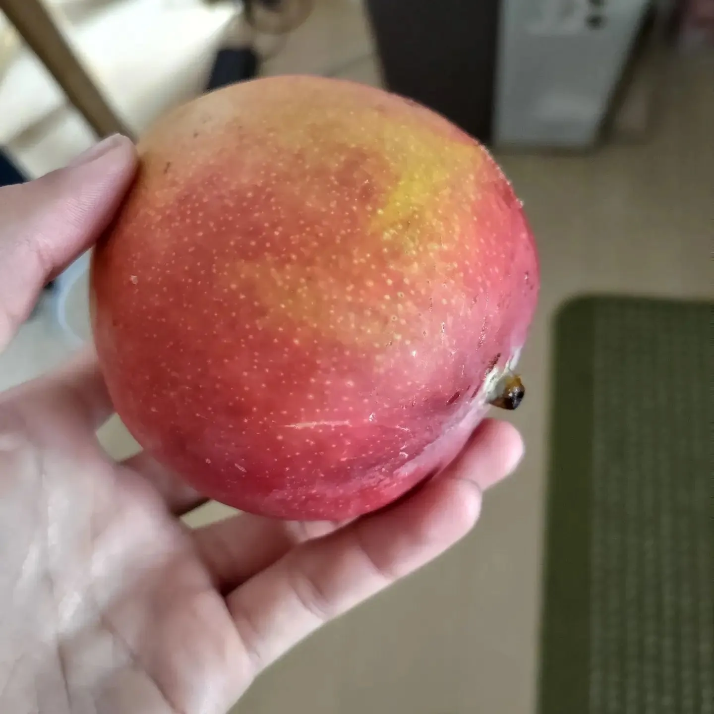 4枚目にうんちの写真。