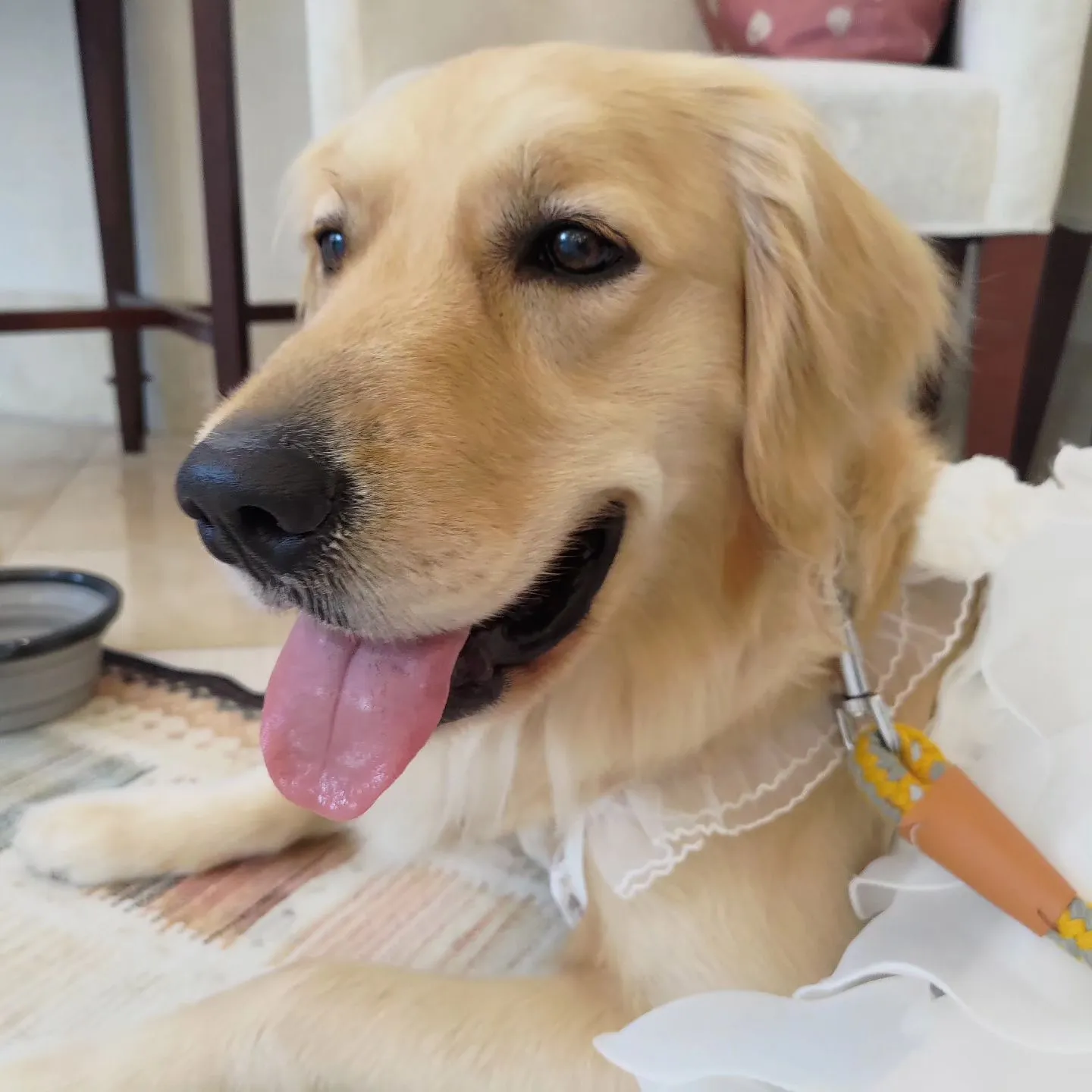 今日のお世話…