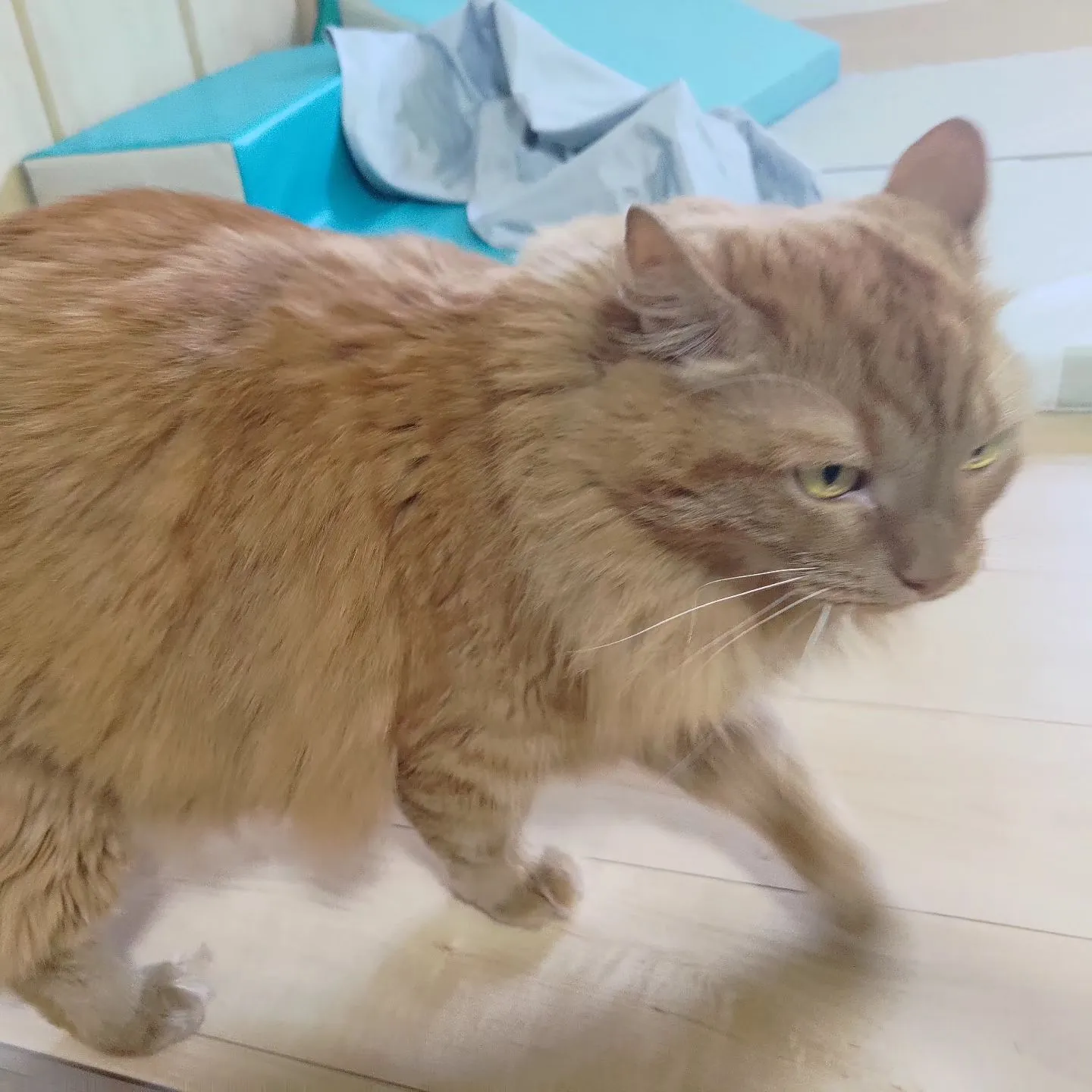 画像は関係ありませんが…