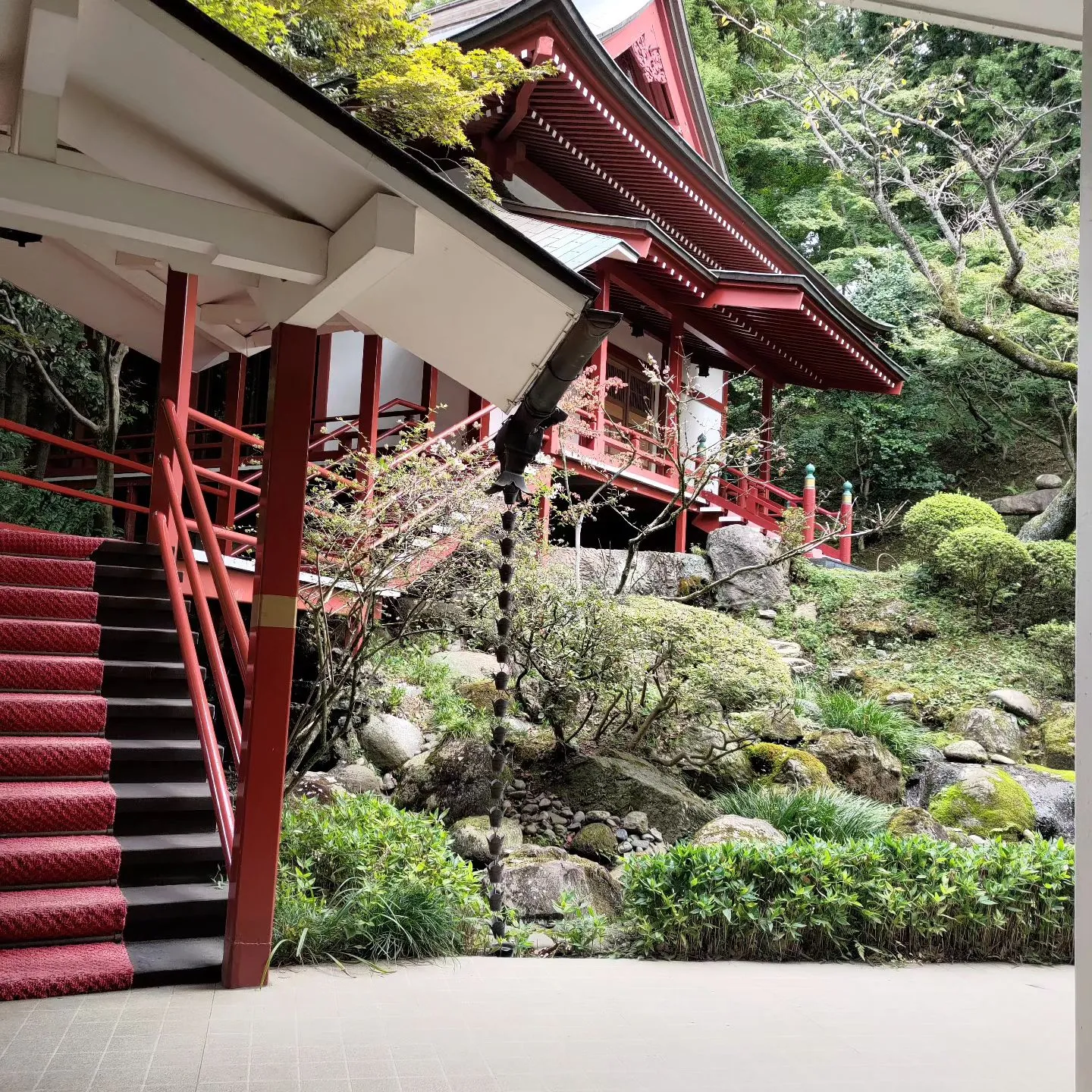 結婚式のドッグシッター…