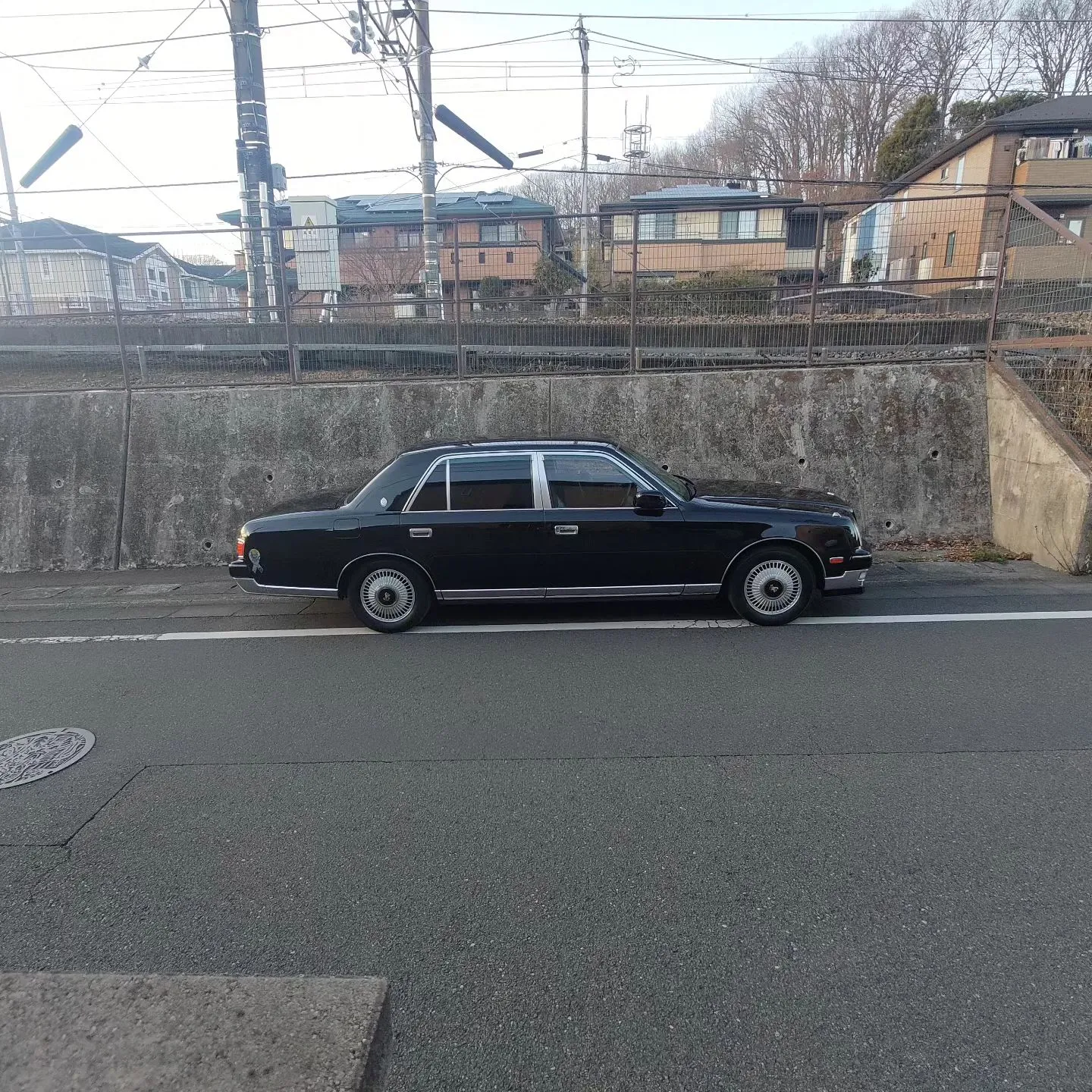 企業の重鎮が乗るような車に、本日はうちの犬を乗っけていました...