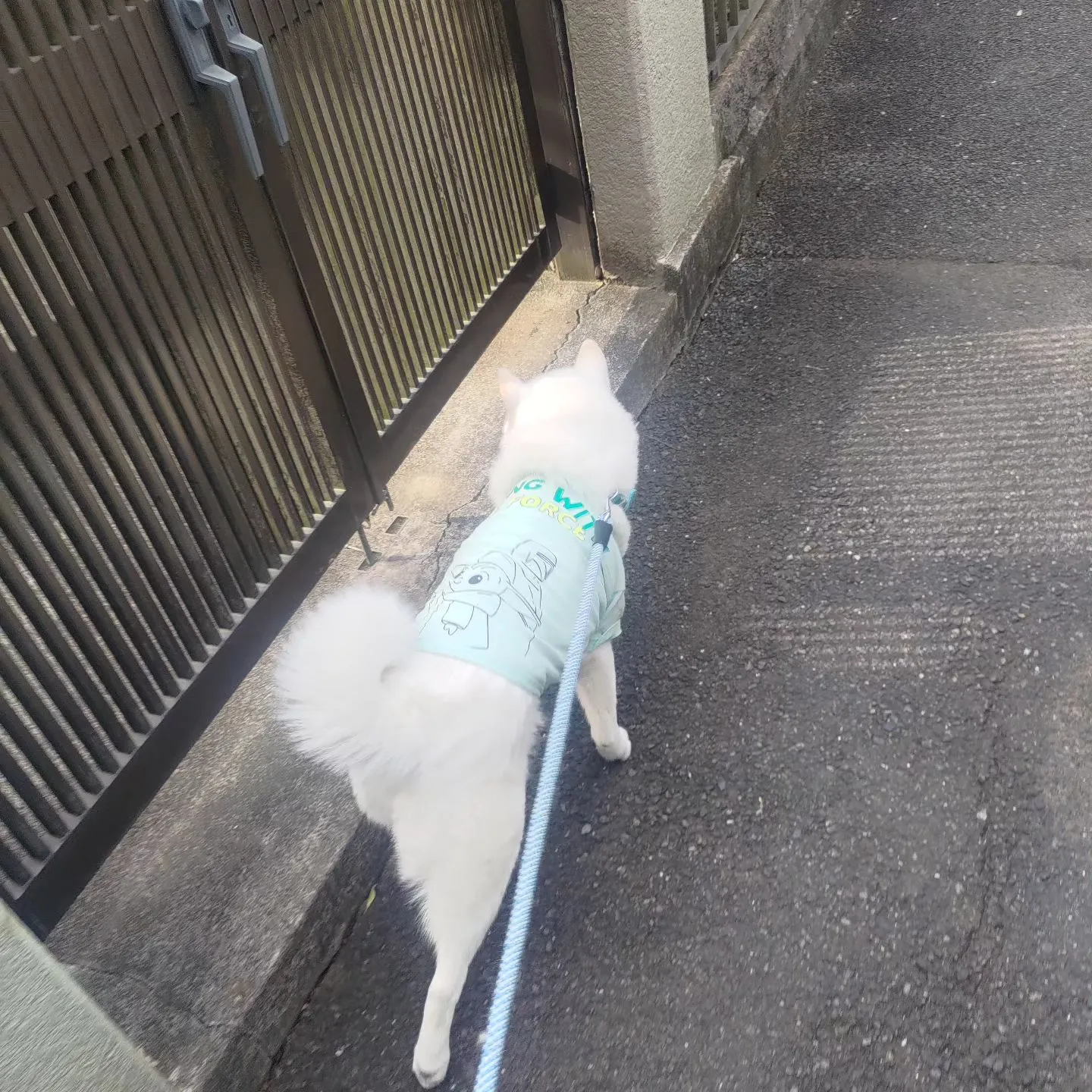 おはようございます。