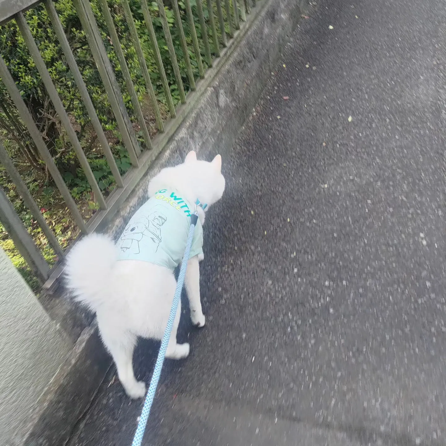 おはようございます。