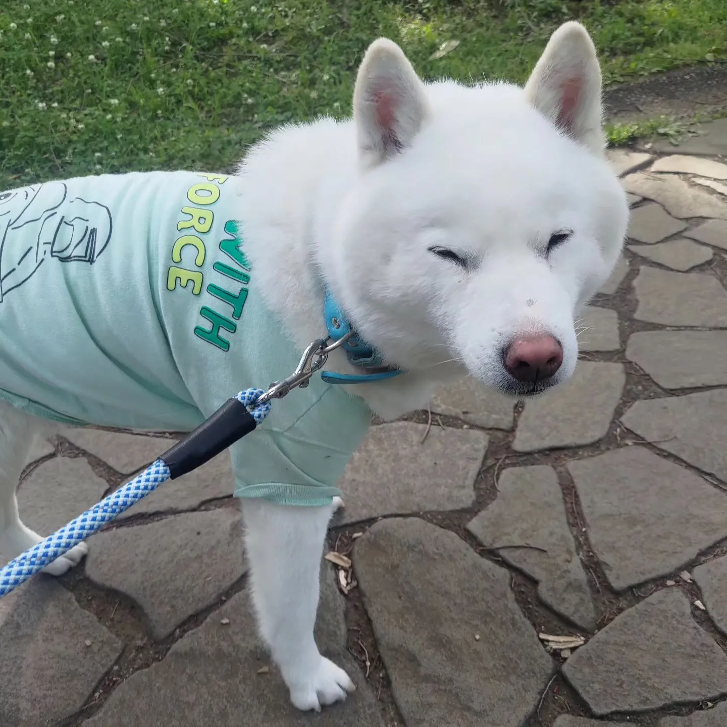 おはようございます。