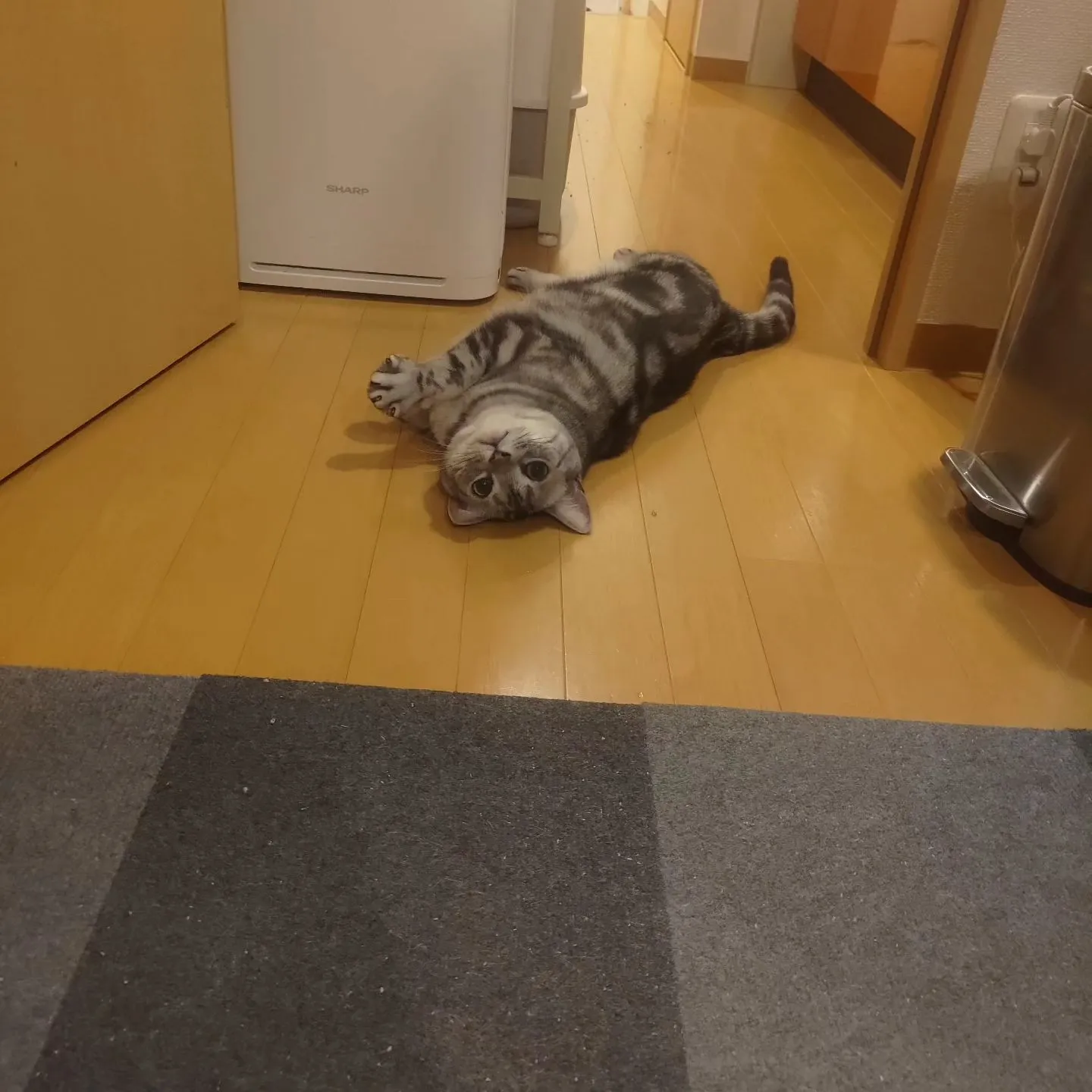 昨日のお世話。