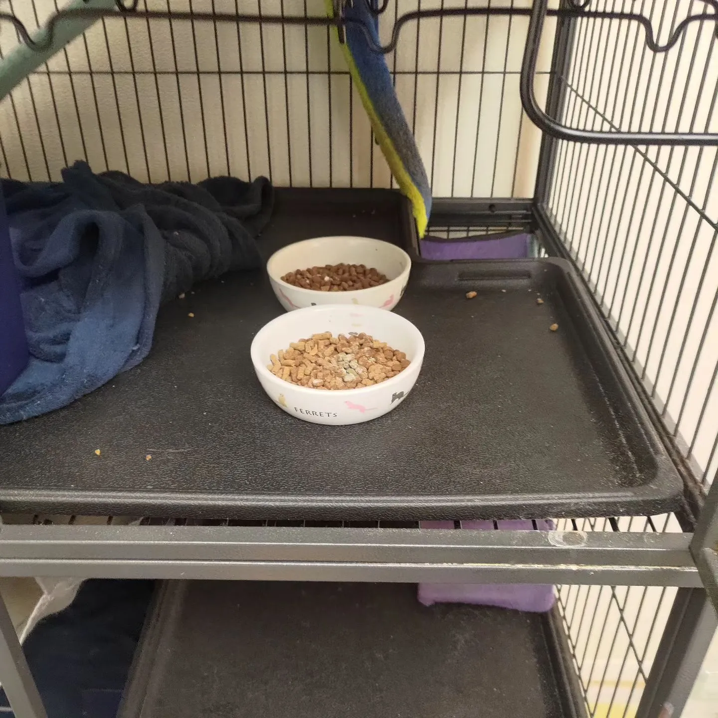 本日3件目以降のご依頼です！