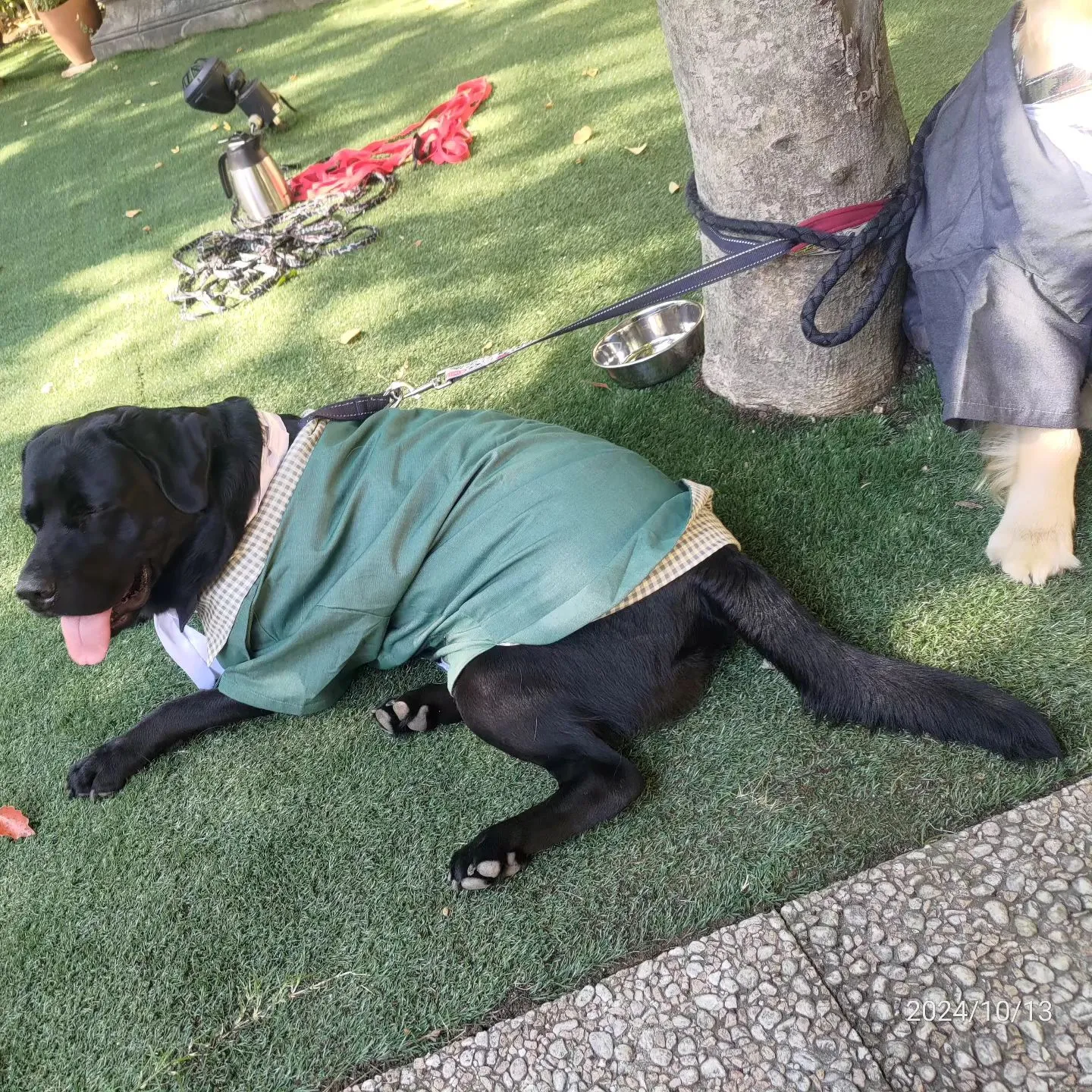 本日3件目以降のご依頼です！