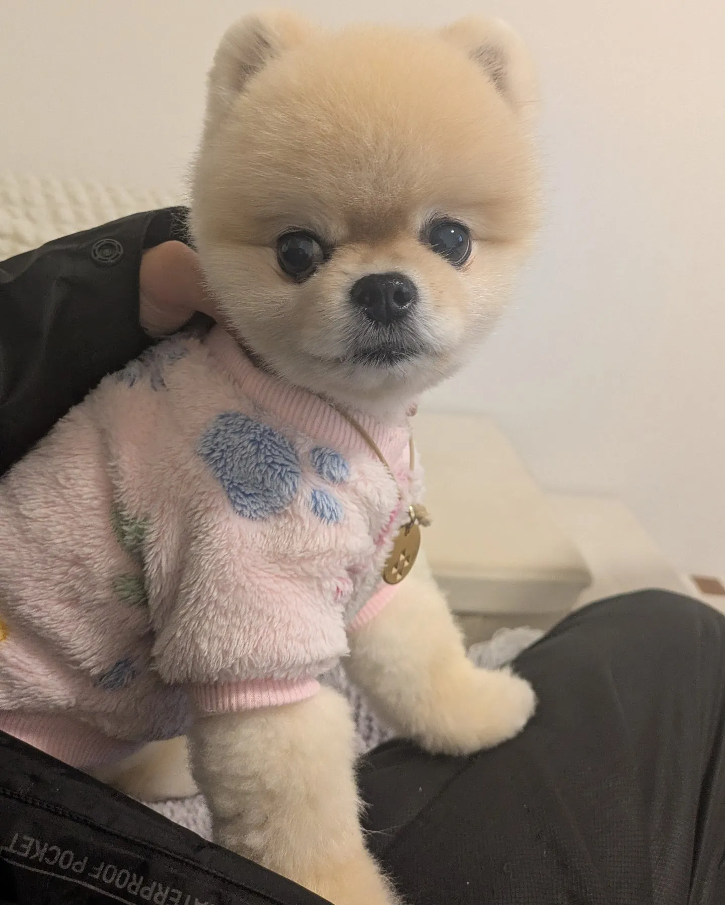 ここ数日のお世話写真、動画をまとめて更新！