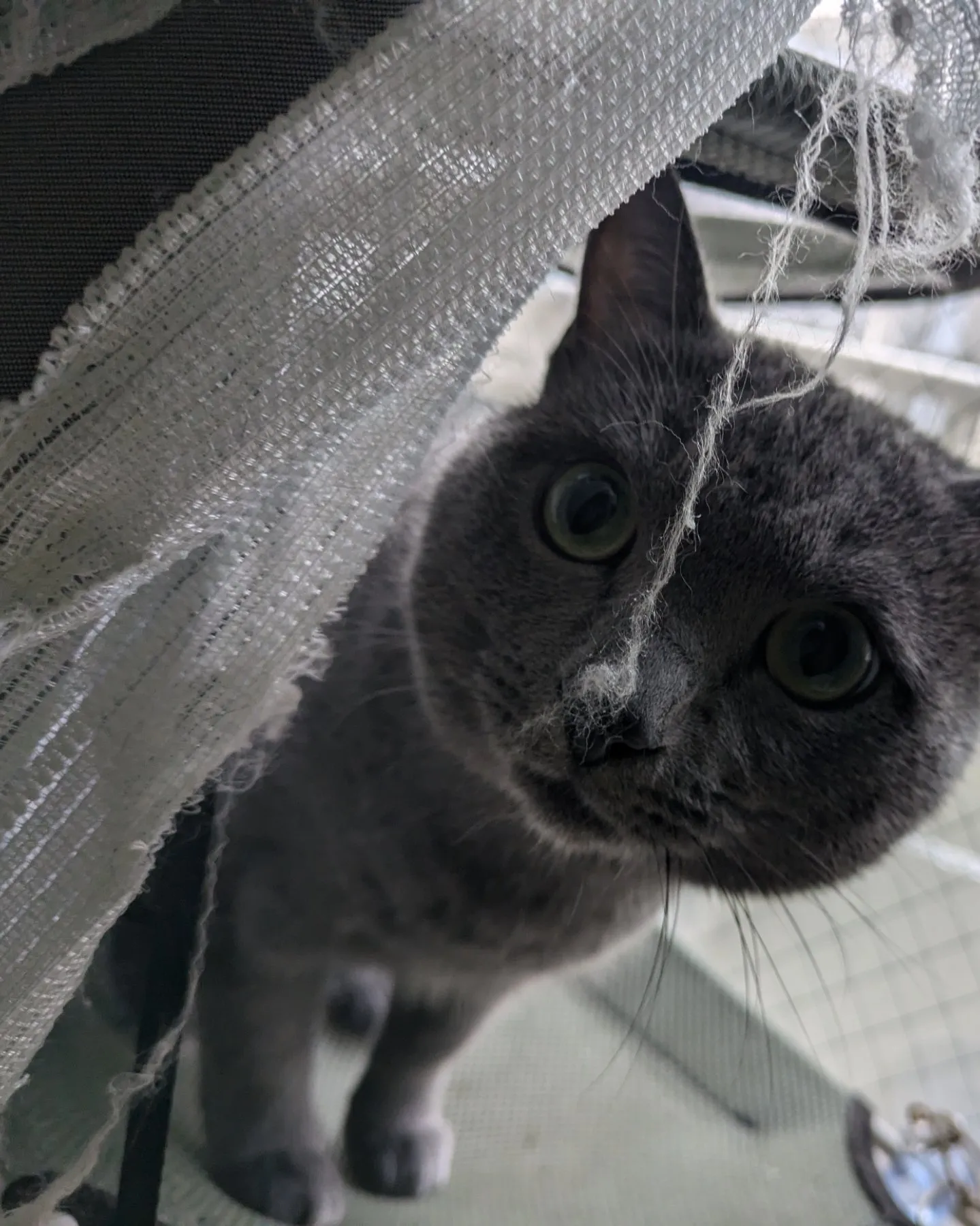 ここ数日のお世話写真、動画をまとめて更新！