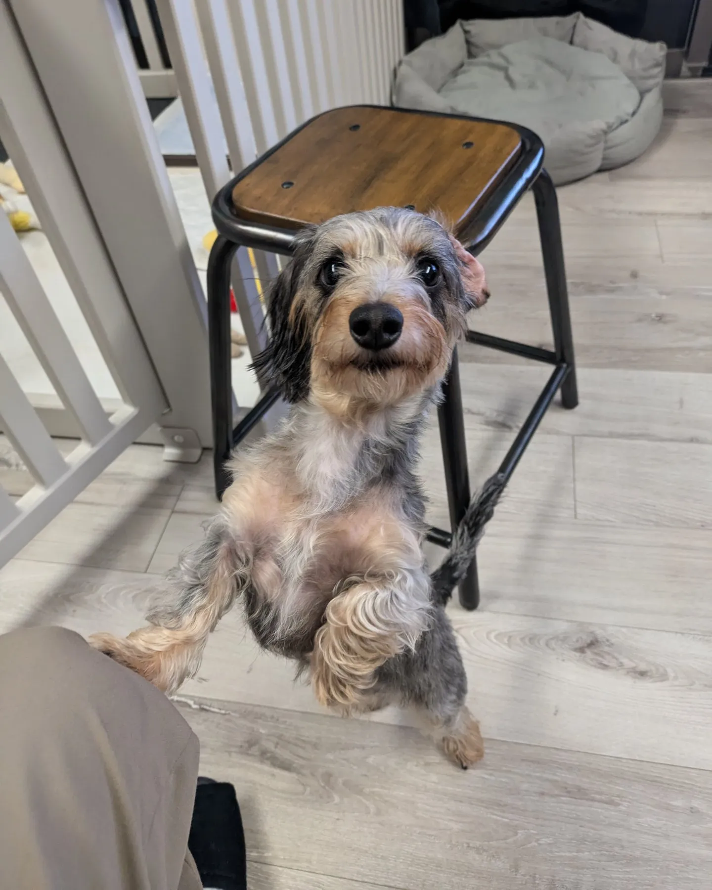 ここ数日のお世話写真、動画をまとめて更新！