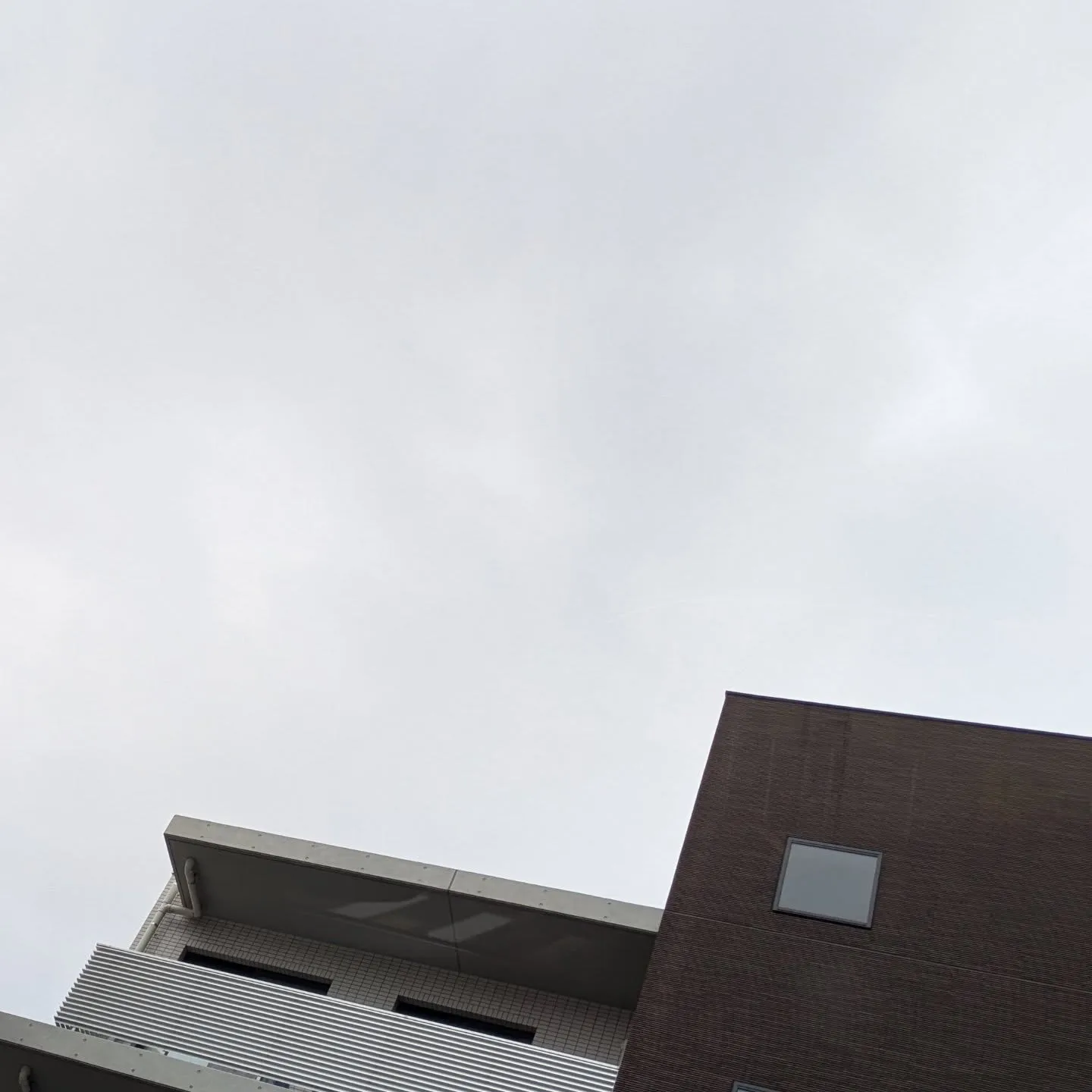 おはようございます！