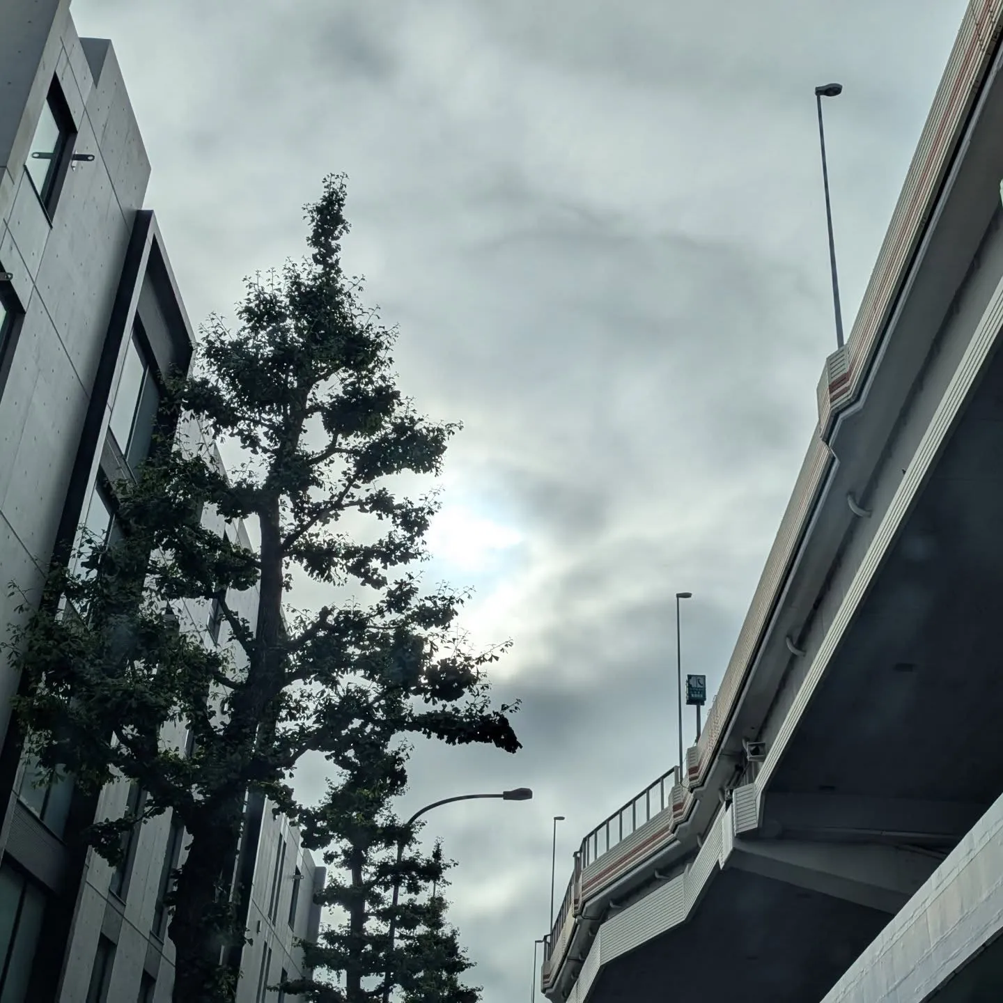 おはようございます！