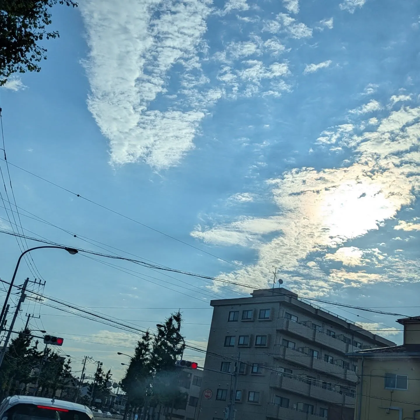 おはようございます！