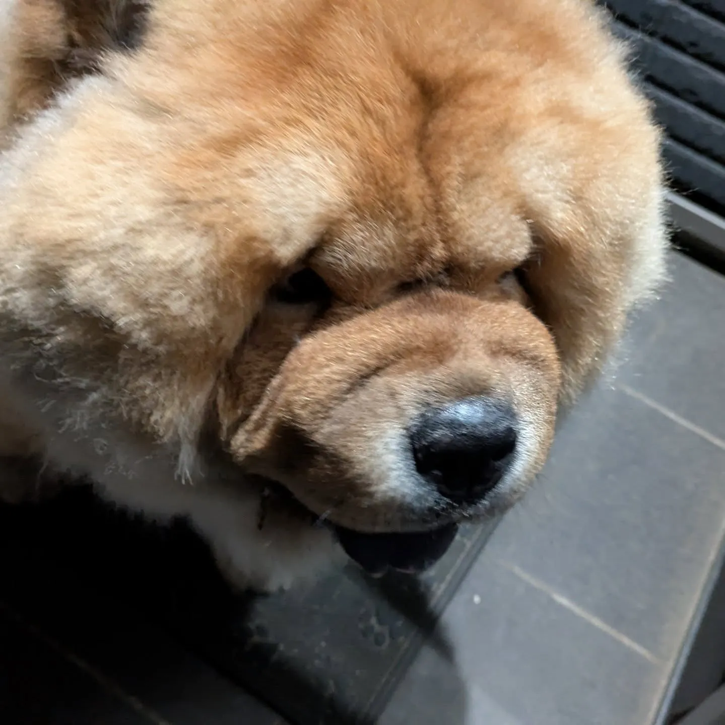 おはようございます。