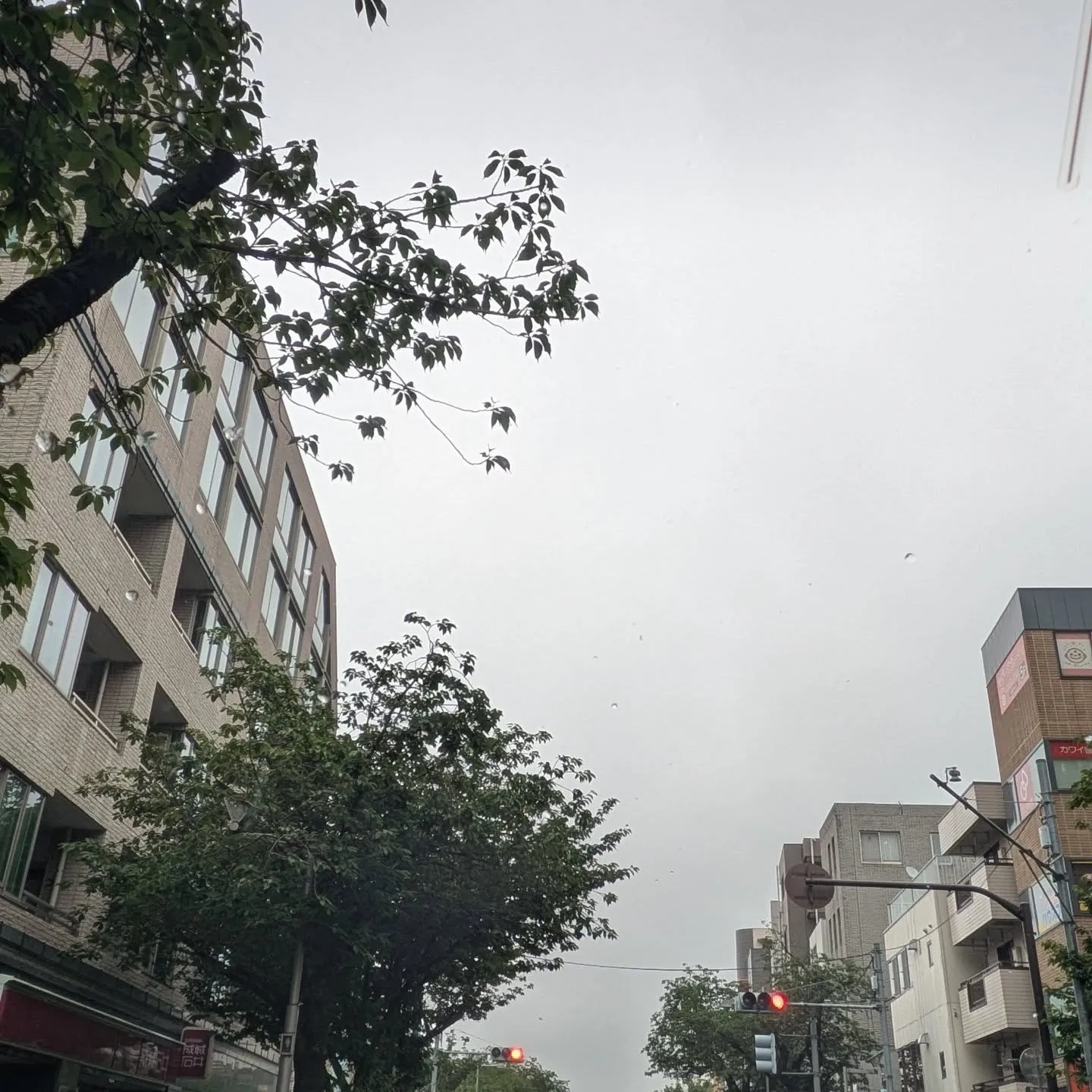 おはようございます！