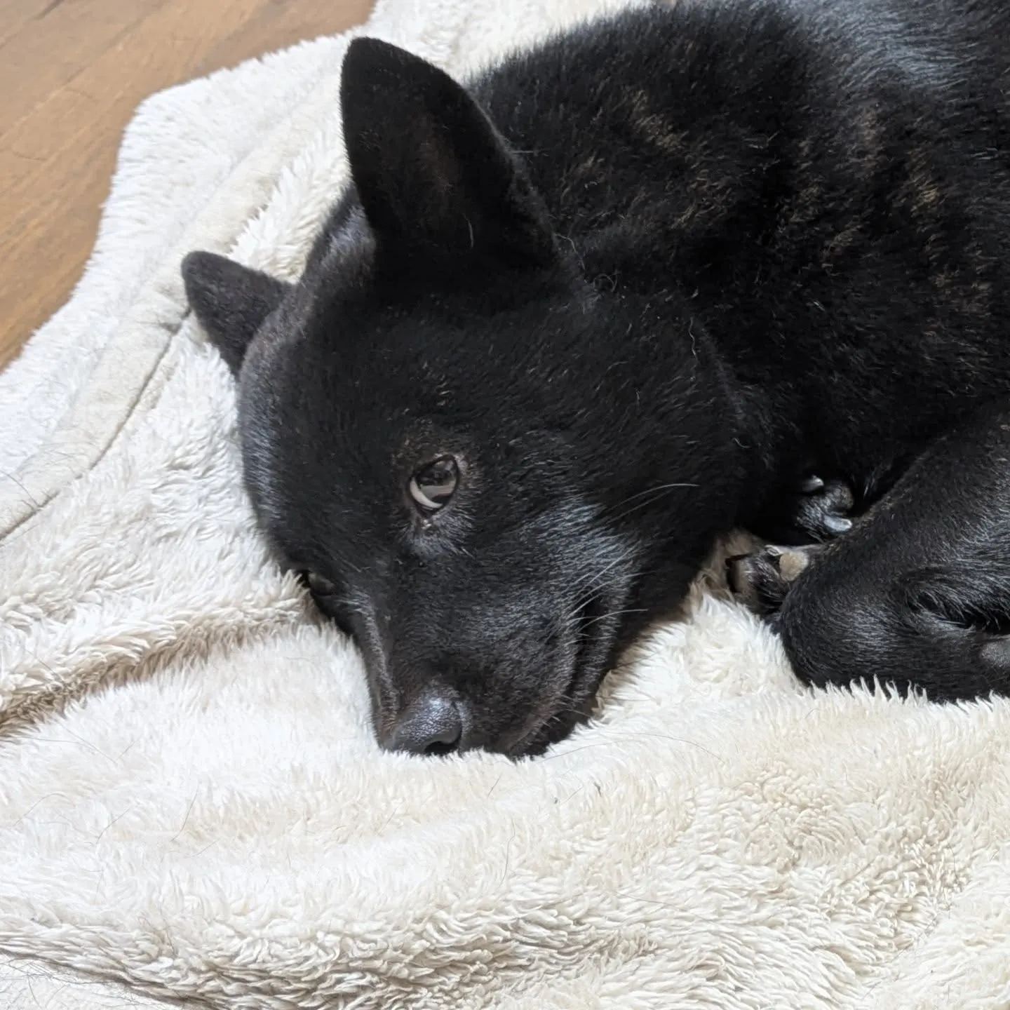 おはようございます！