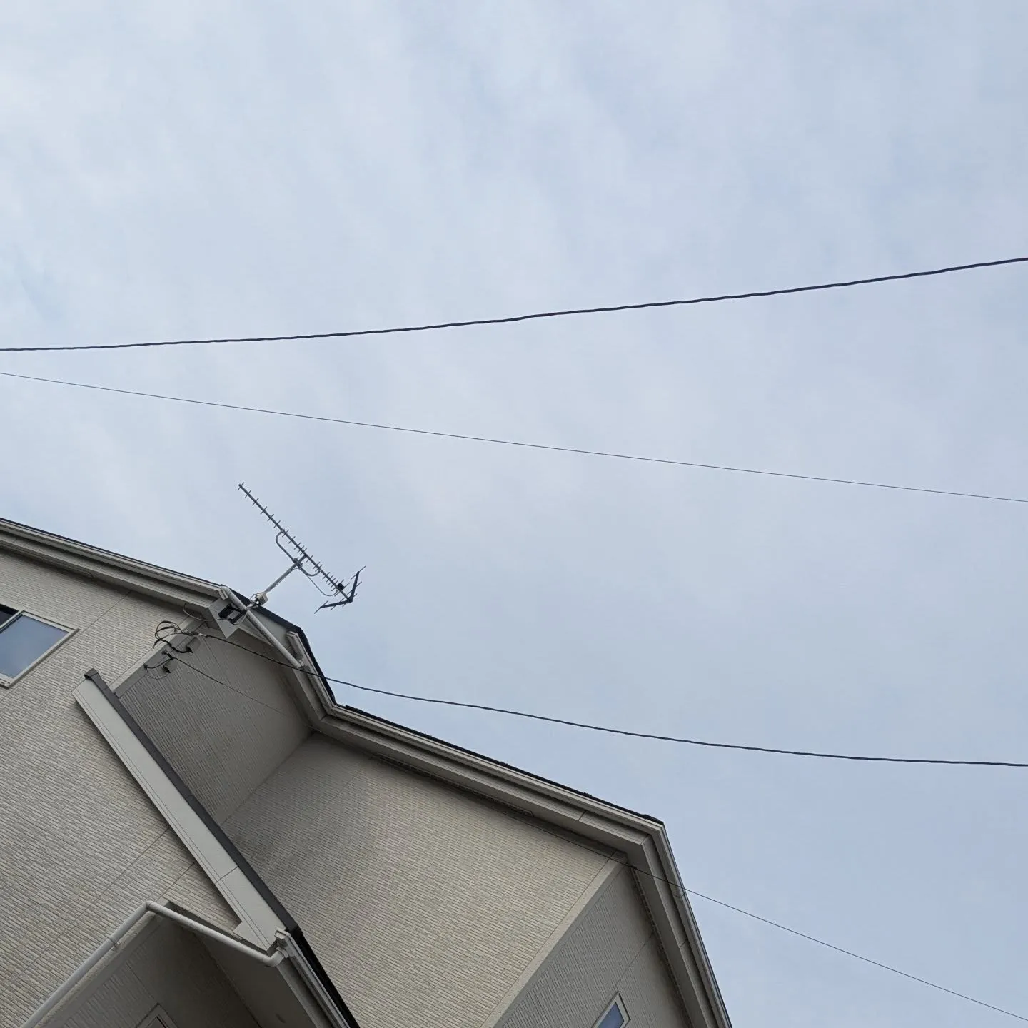 おはようございます！