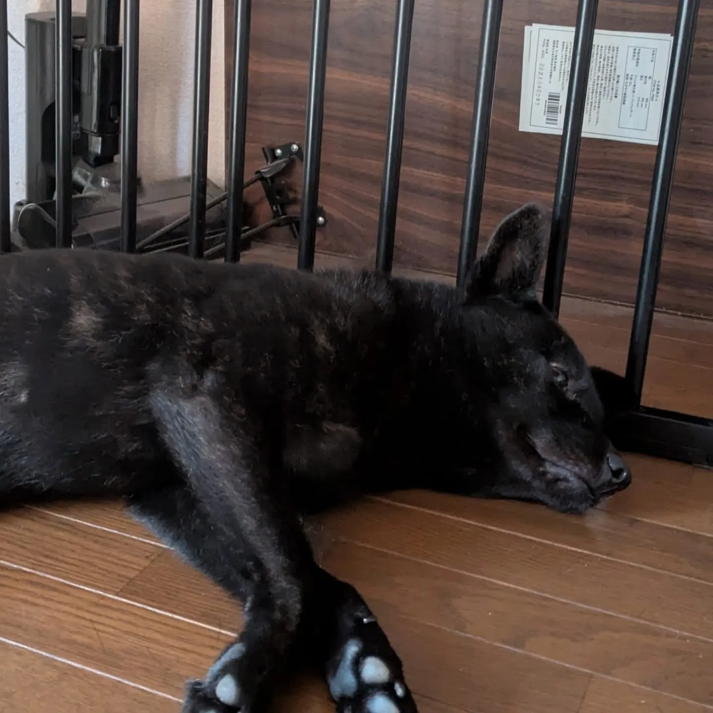 おはようございます！