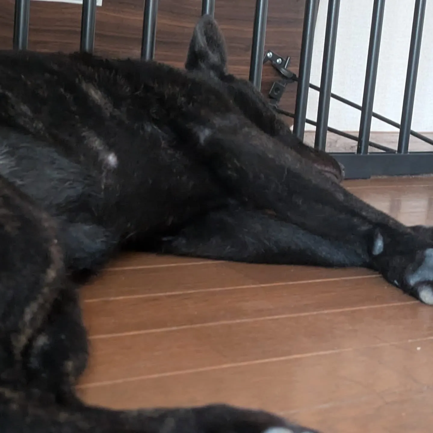 おはようございます！