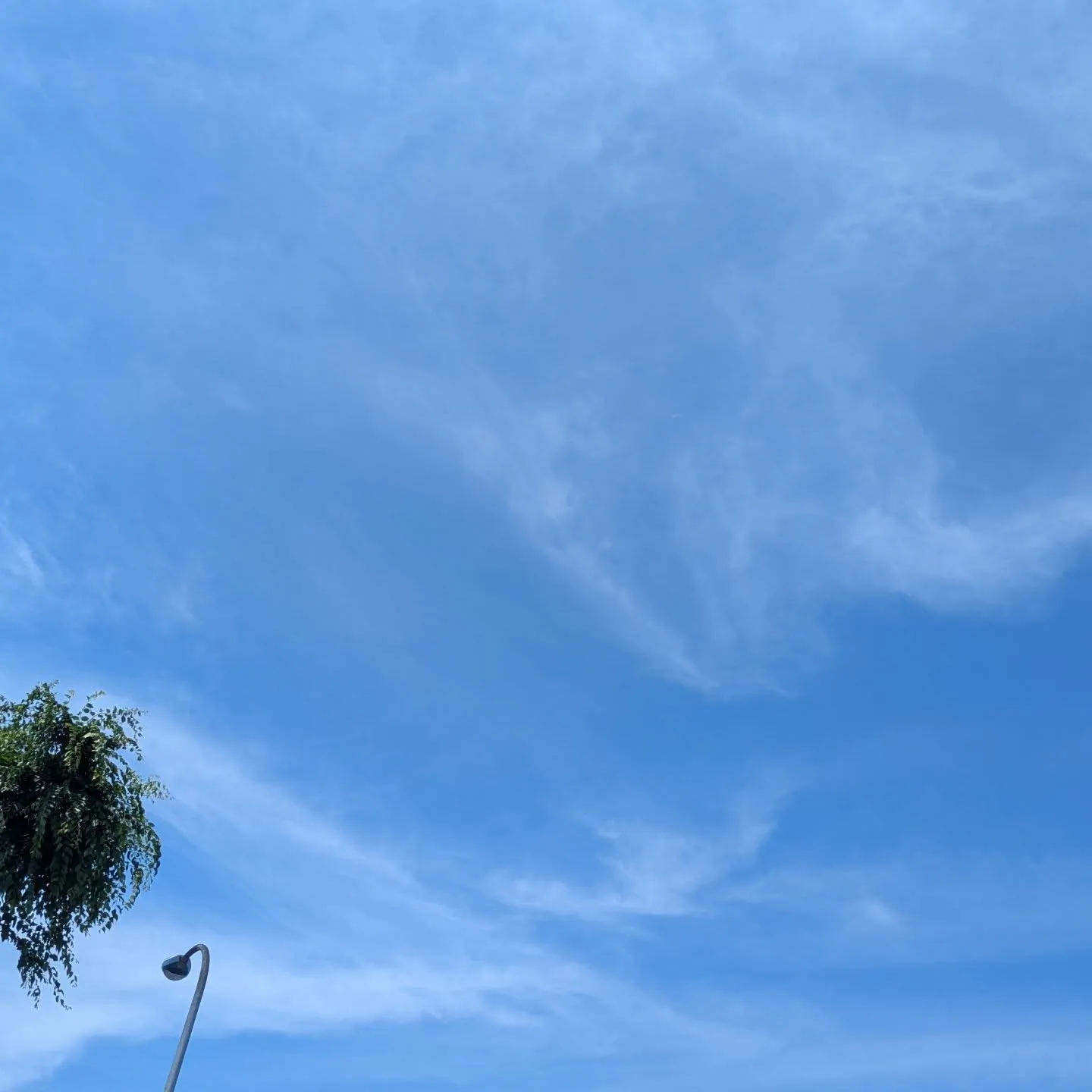 おはようございます！