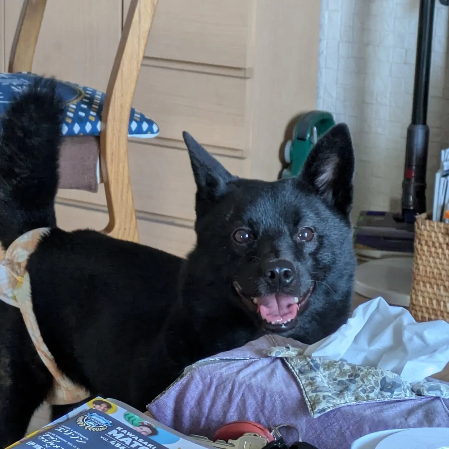 おはようございます！