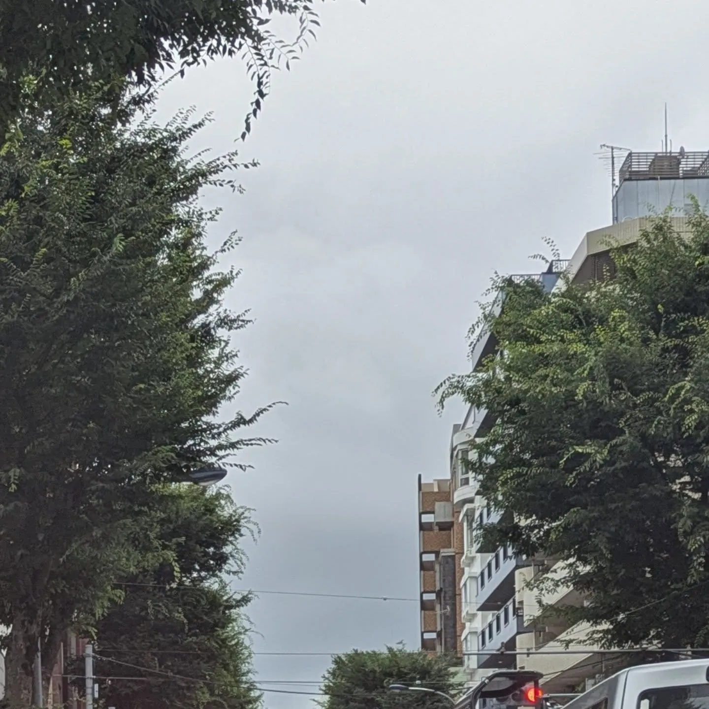 おはようございます！