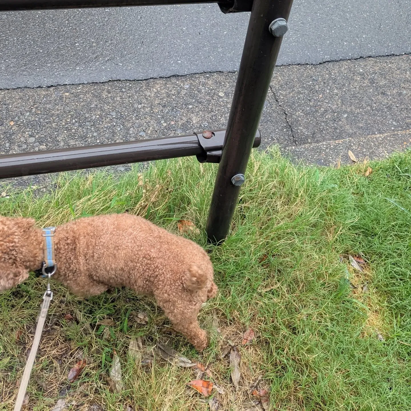 おはようございます！