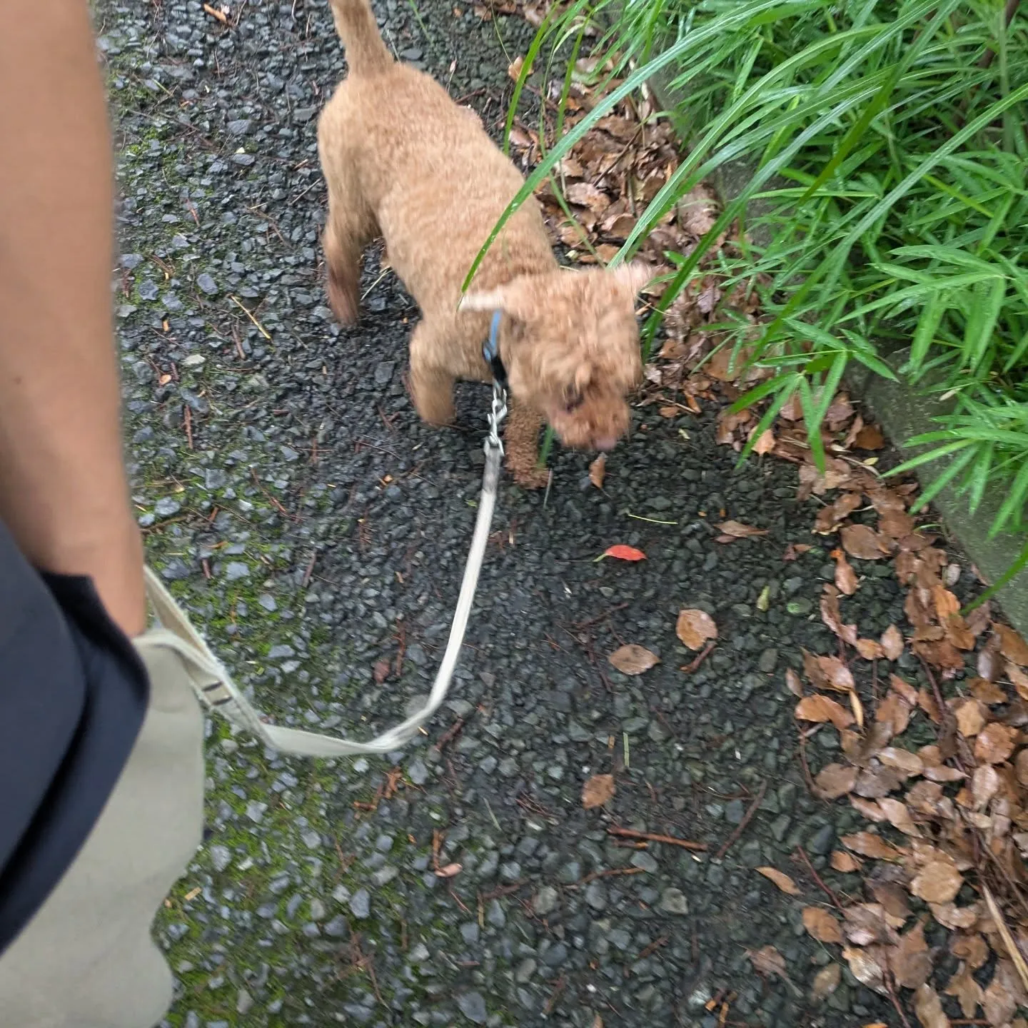 おはようございます！