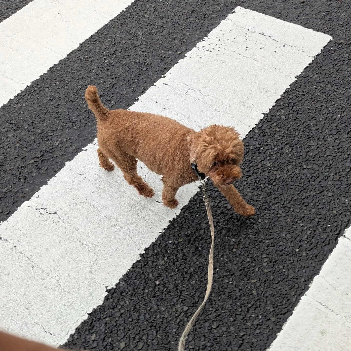 おはようございます！