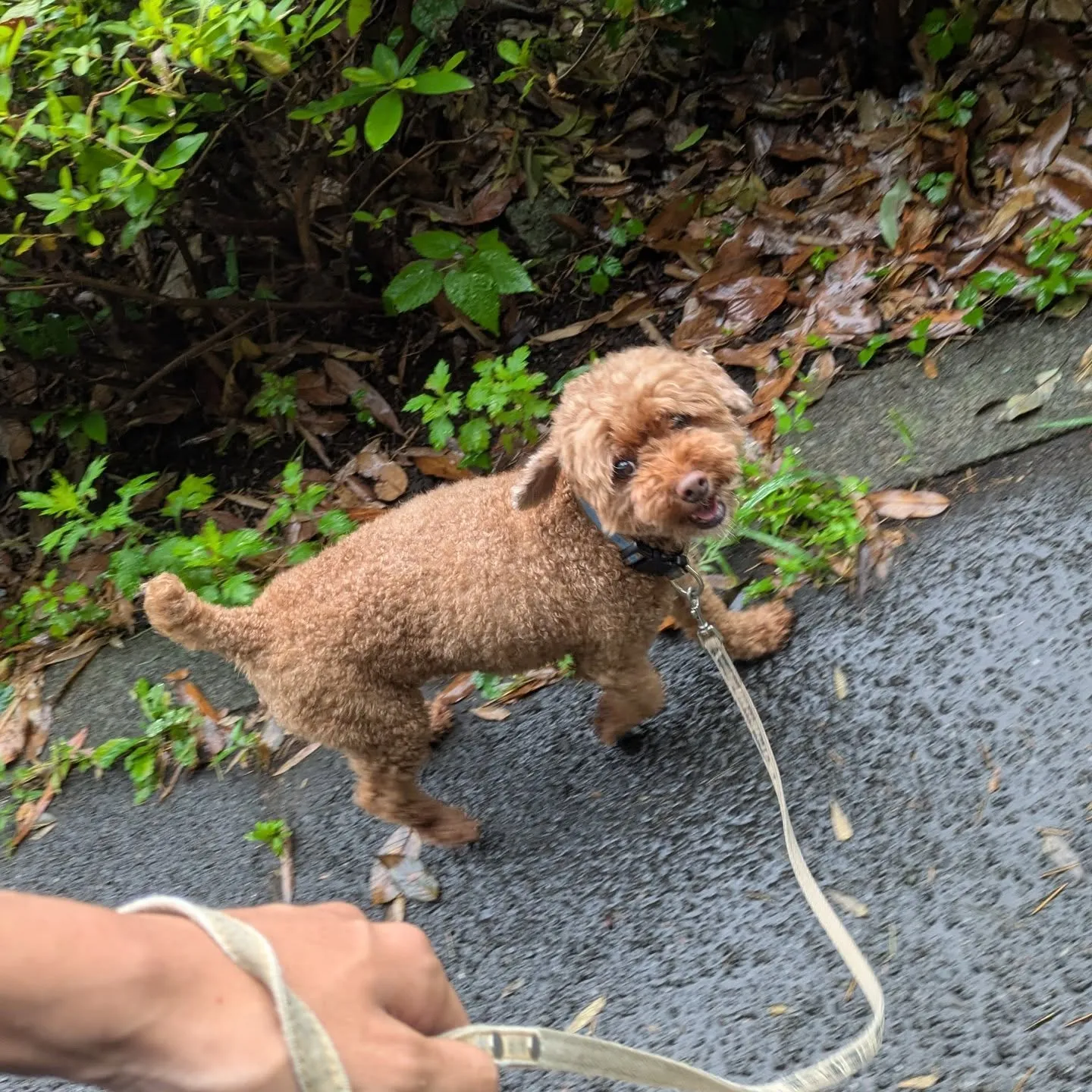 おはようございます！