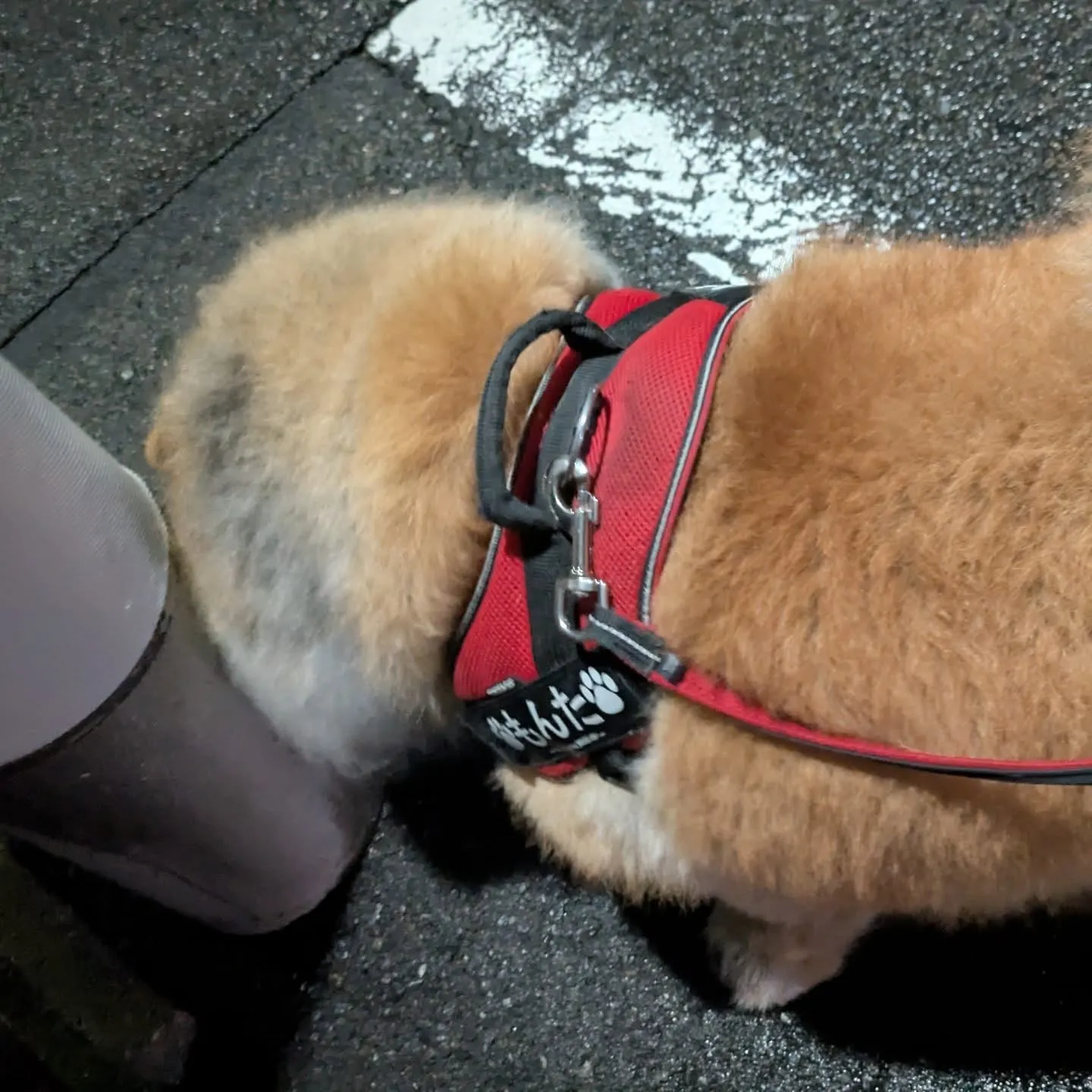 おはようございます！