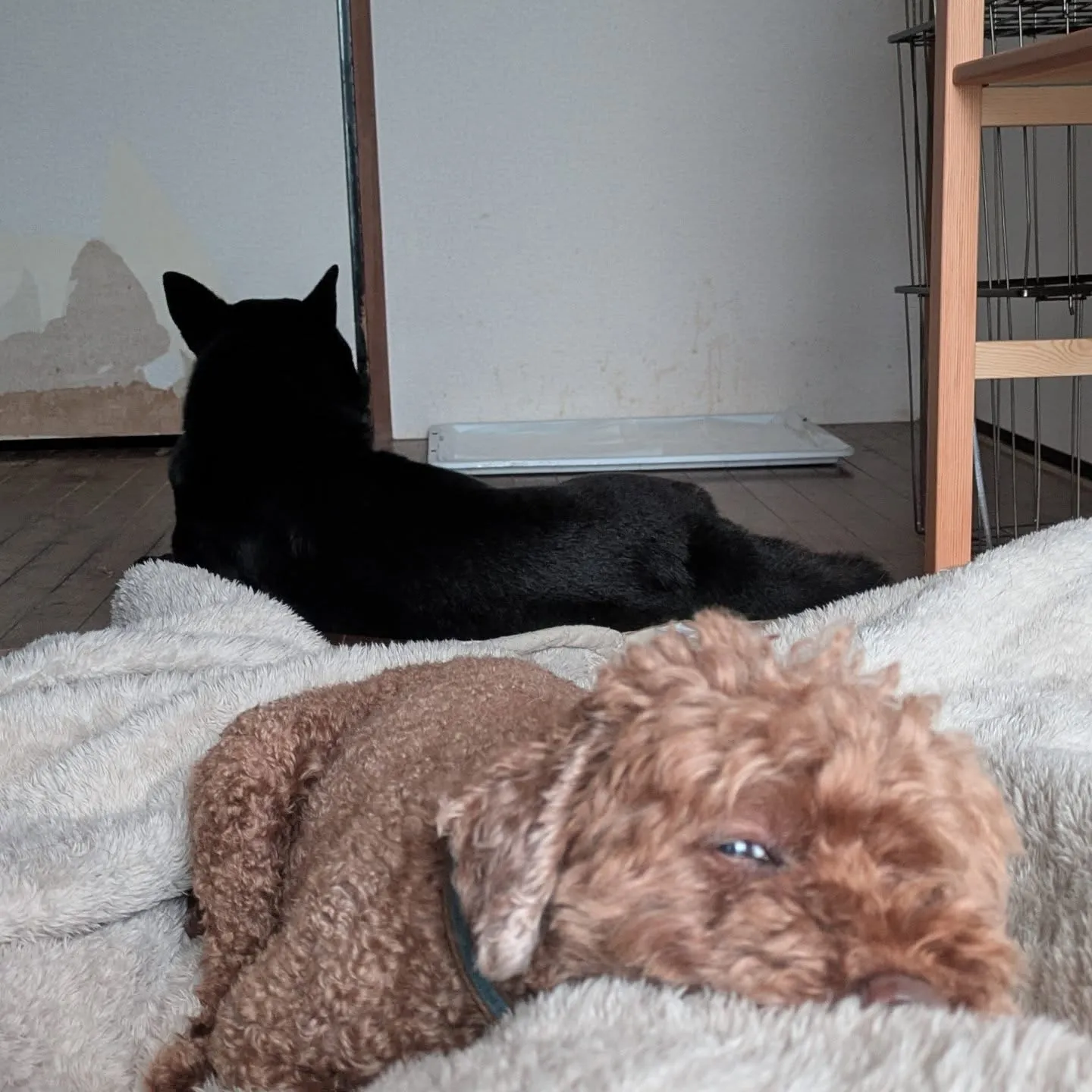 おはようございます!